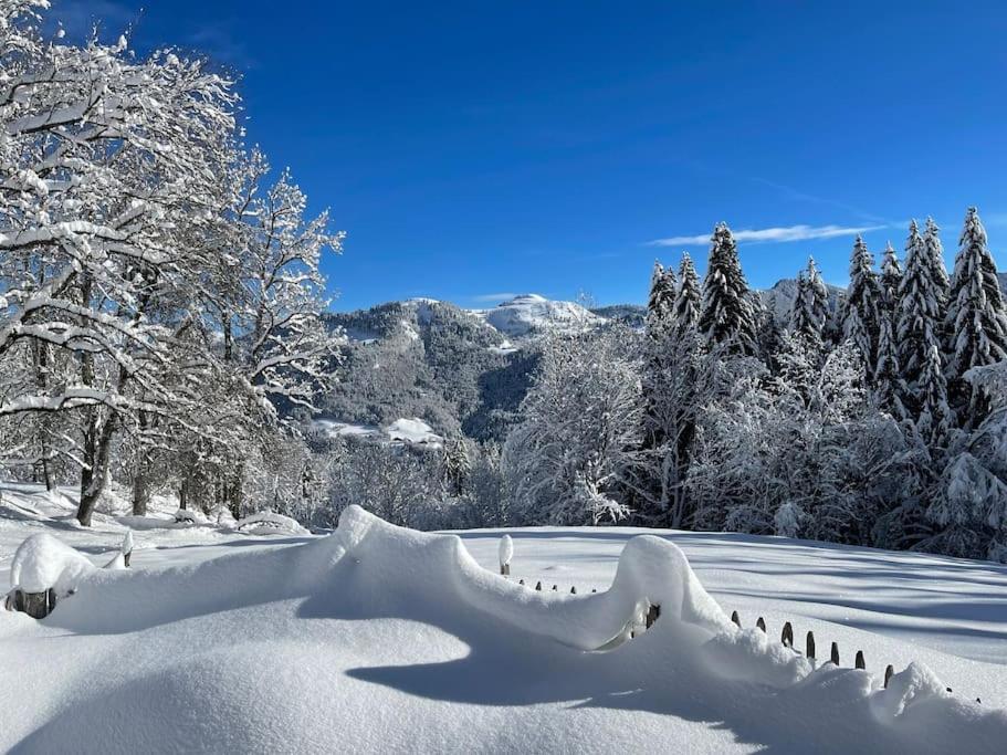 Chalet Alpage Proche Geneve Megevette Exterior photo