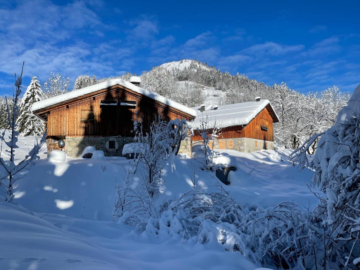 Chalet Alpage Proche Geneve Megevette Exterior photo